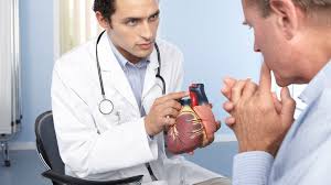Doctor explaining heart failure to male patient using a model of a heart