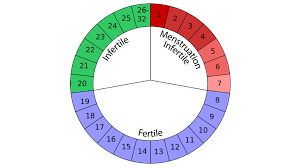 Predictive fertility wheel - natural family planning method
