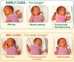 Various hunger cues for baby: Stirring and stretching actions, lip smacking, sucking gestures, sucking of the hand, lip movements, crying or fussing, rooting reflex.