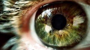 Close-up View of a Healthy Eye - Emphasizing the Importance of Eye Health during National Save Your Vision Month