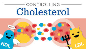 Visual representation of Good and Bad Cholesterol Levels, Contrasted for Understanding Cholesterol Health