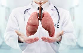Medical professional holding a digital representation of lungs, emphasizing COPD awareness