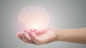Understanding mental health: Person holding a brain in their hand, symbolizing the impact of the pandemic on the mind.