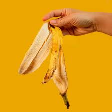 Hand holding a banana peel: Potential natural remedy for wounds