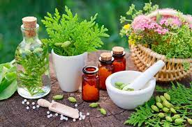 Herbs and containers assortment: Natural elements in homeopathy practices.