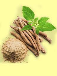 Ashwagandha: An Adaptogenic Herb