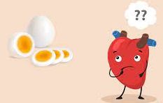 Image of a heart pondering whether eggs are good for its health