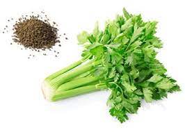 Celery Seed