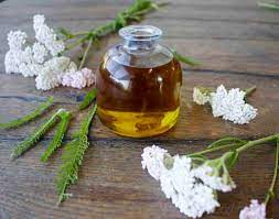 Yarrow Oil Extract