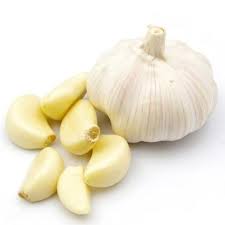 A head of garlic and a few cloves of garlic displayed, showcasing the heart-protective properties of this potent ingredient in promoting cardiovascular health.