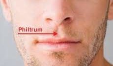 The Philtrum Point: An Acupressure Spot for Hiccup Relief