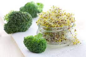 Broccoli Sprouts: Nutrient-Rich Superfood