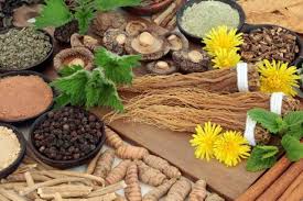 Group of Adaptogenic Herbs for management of fatigue