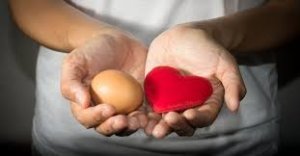 Image of a person holding an egg in one hand and a heart in the other, symbolizing the connection between eggs and heart health