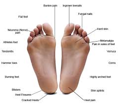 Feet Image: Illustration of Common Foot Problems