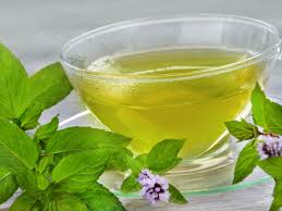 Mug of green tea surrounded by fresh green leaves