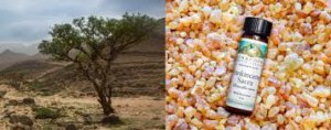 Frankincense oil: Potential benefits for gout relief