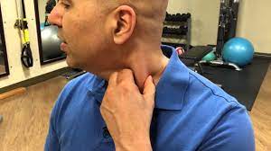 Sternocleidomastoid Muscle: Neck Anatomy and Function