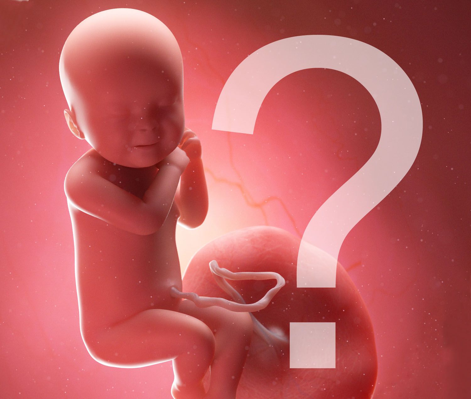 An artistic or medical illustration showing a fetus inside the womb with a smiling expression. The fetus is depicted in a peaceful and serene position, surrounded by the amniotic sac and fluid. The background emphasizes the warmth and protection of the womb, conveying a sense of calm and connection between the fetus and mother. The image highlights the innocence and joy of the unborn child in a gentle and nurturing environment.