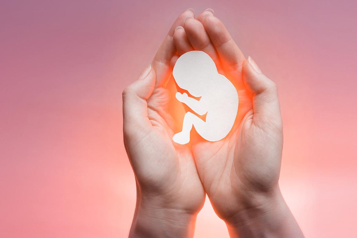 A person gently holding a small baby in their hands, supporting the infant's delicate body with care and the person’s hands are shown providing a secure and loving embrace. The image conveys warmth, tenderness, and the nurturing bond between the caregiver and the baby, with a soft, serene background that enhances the sense of safety and comfort.