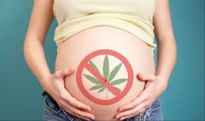 Pregnant woman embracing her abdomen with a 'No Marijuana' sign