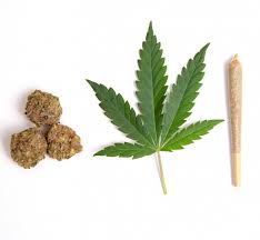 Marijuana leaf and related cannabis products