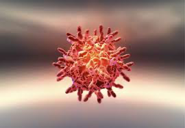 Image of a common cold virus magnified under a microscope