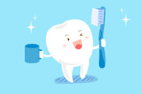Tooth being cleaned with toothpaste and toothbrush for dental hygiene