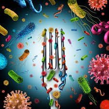 A fork contaminated with infection-causing microorganisms