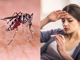 Visual representation featuring an Aedes aegypti mosquito, the Dengue fever vector, alongside an image of a woman with fever, highlighting the connection between mosquito bites and the onset of Dengue symptoms.