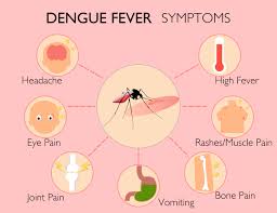 Visual representation of Dengue fever symptoms, including high fever, severe headache, joint and muscle pain, skin rash, nausea, vomiting, bleeding, and fatigue, providing insight into the health challenges posed by the virus.