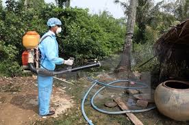 Photo of a person employing a fumigating machine to eliminate mosquitoes, showcasing proactive measures in mosquito control efforts.