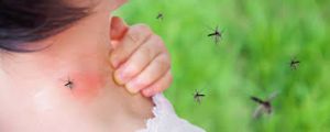 A person being bitten by mosquitoes