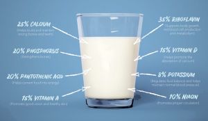 A glass of milk, symbolizing the nutritional value and benefits of dairy consumption.