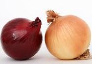 Two onion heads on display