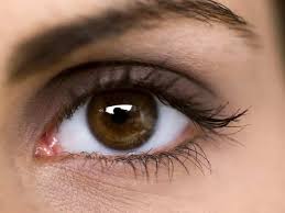 Close-up of an eye emphasizing the need for eye exams