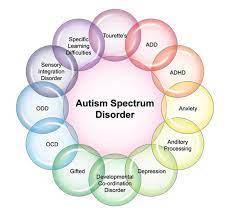 Flower showcasing diverse spectrums of autism, representing the varied experiences and strengths within the community