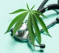 cannabis-and-health