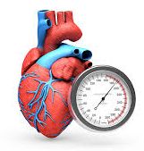 Heart graphic with a blood pressure gauge cuff beside it, indicating hypertension.