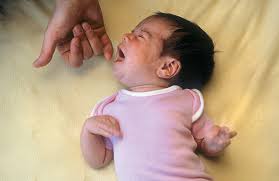 Baby crying while rooting for a feed, indicating hunger cues.