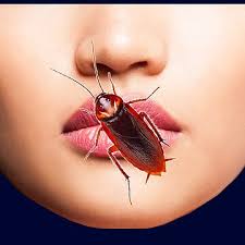 Image of a person with a cockroach biting their lip, debunking the myth of cockroach bites causing coldsores