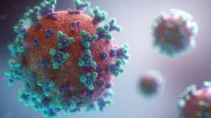 Close-up of a virus causing stomach flu