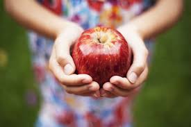 Person holding a fresh apple in hands, showcasing its nutritional benefits